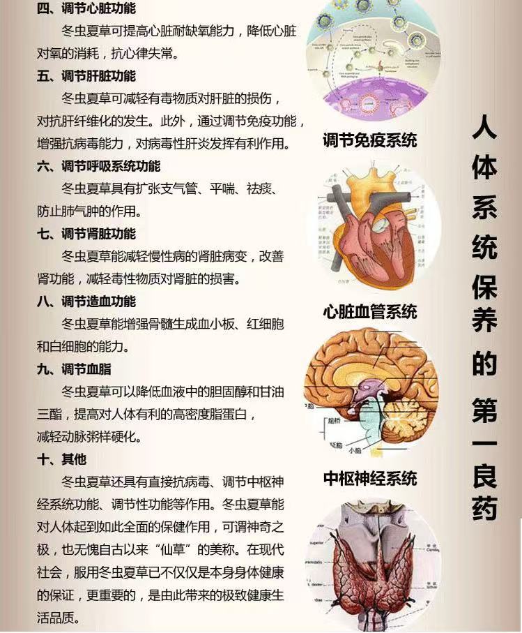 人体系统保养图解